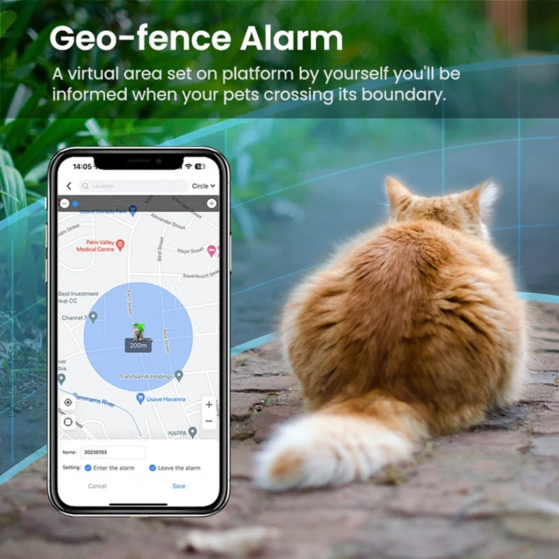 Custom Cheap Good Price Pet Smart Location Tracking And Activity Tracker For Dog Cat Locator Tracer  Amaijoin