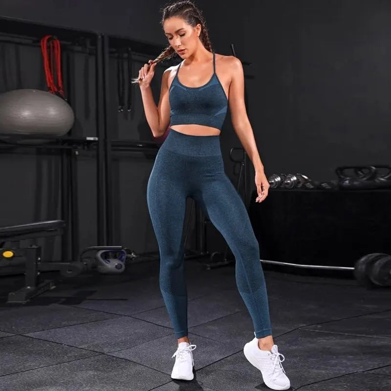 2 Pieces Women's Tracksuit Seamless Yoga Set Workout Sportswear Gym Clothing High Waist Leggings Fitness Sports Suits  Amaijoin