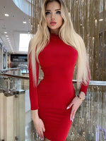 Load image into Gallery viewer, New Arrival Turtleneck Long Sleeve Skinny Mini Dress Sexy Skirt Dresses Women Elegant Chest Slim Pleated Dress  Amaijoin
