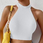 Load image into Gallery viewer, Knit Sleeveless Halter Tops for Women Basics Solid Slim Fitted Crop Womens Turtleneck Ribbed Vest Y2K High Neck Tank Tops  Amaijoin
