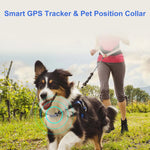 Load image into Gallery viewer, Anti-lost Pet Collar GSM GPRS GPS Tracker for Pets Dogs Cats Cattle Sheep Tracking Locator GPS Positioner Device Rechargeable  Amaijoin
