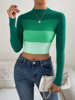 Load image into Gallery viewer, On Sale 2024 Spring Women Crop Colorblock Turtleneck Ribbed Long Sleeve Pull Sweater Femme Knitwear Jumper Outfits Pullovers  Amaijoin
