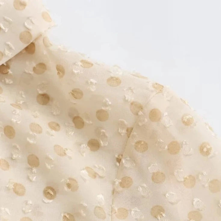 Tangada 2024 New Vintage Women Ruffles Dots Mesh Shirt Female Blouse Tops 10H44  Amaijoin