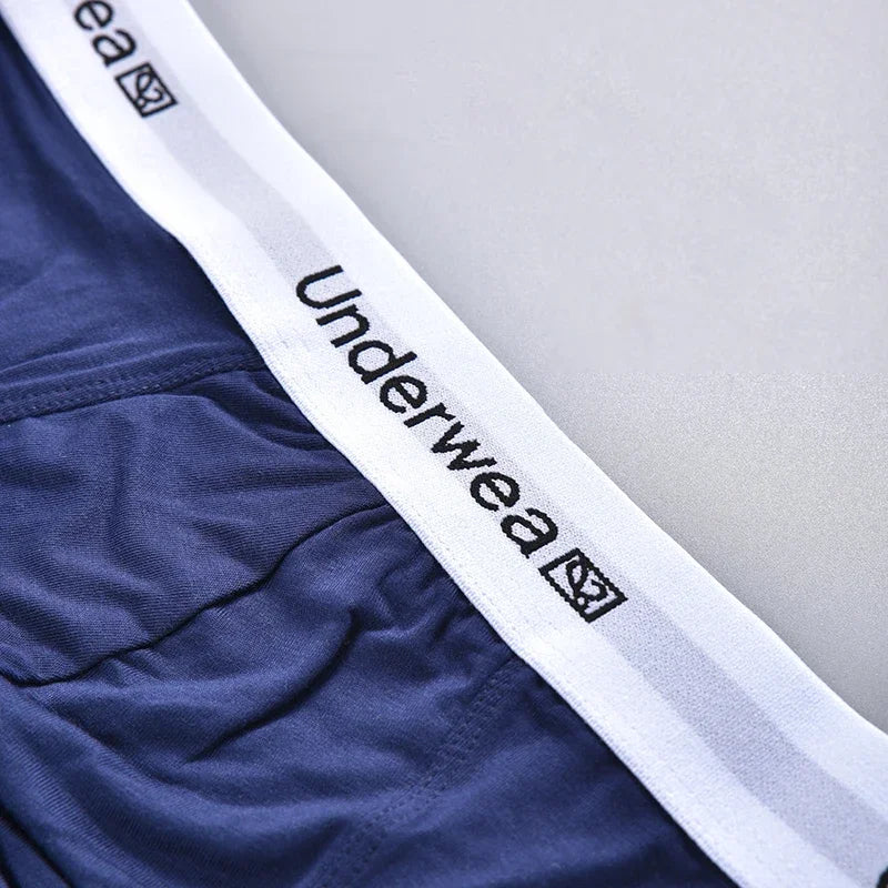 3Pcs Men's Briefs Secy Mens Underwear Letters Print Belt Men's Panties Slip Male Breathable 3D Pouch Underwear Men Underpants  Amaijoin